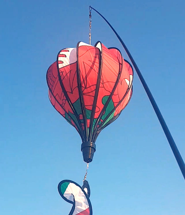 Hot air balloon clearance wales