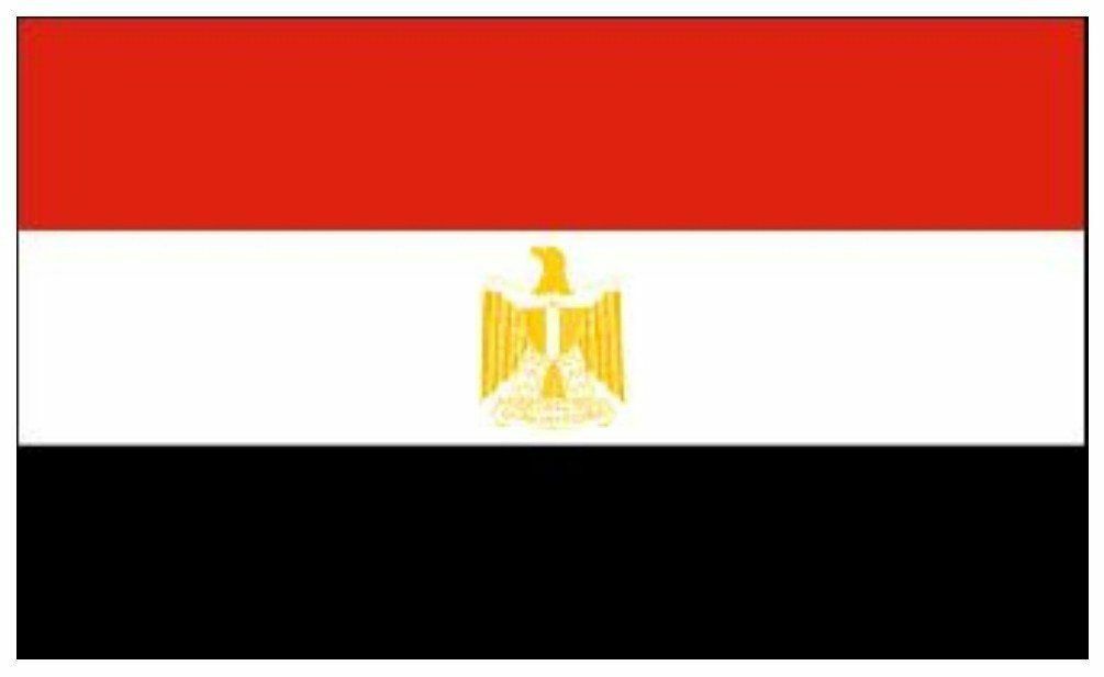 Egypt flag 5ft x 3ft polyester with eyelets