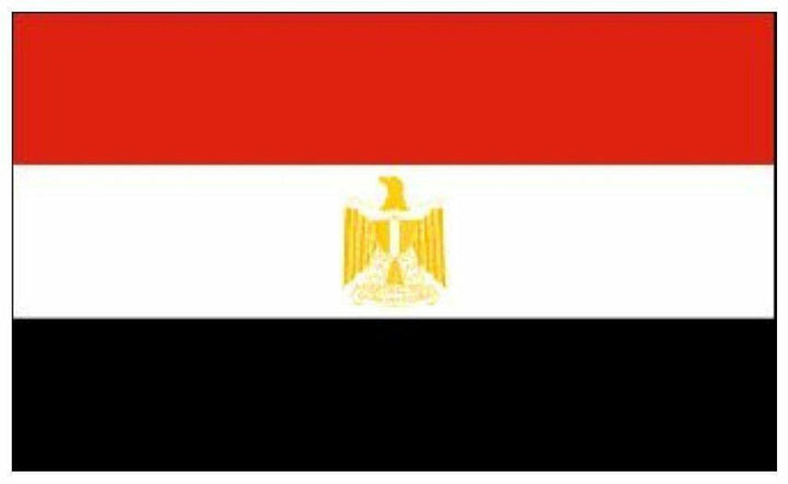 Egypt flag 5ft x 3ft polyester with eyelets