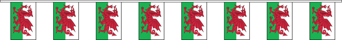 Wales bunting 9m