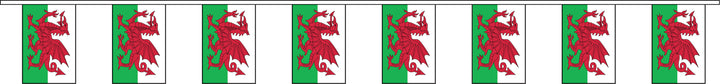 Wales bunting 9m