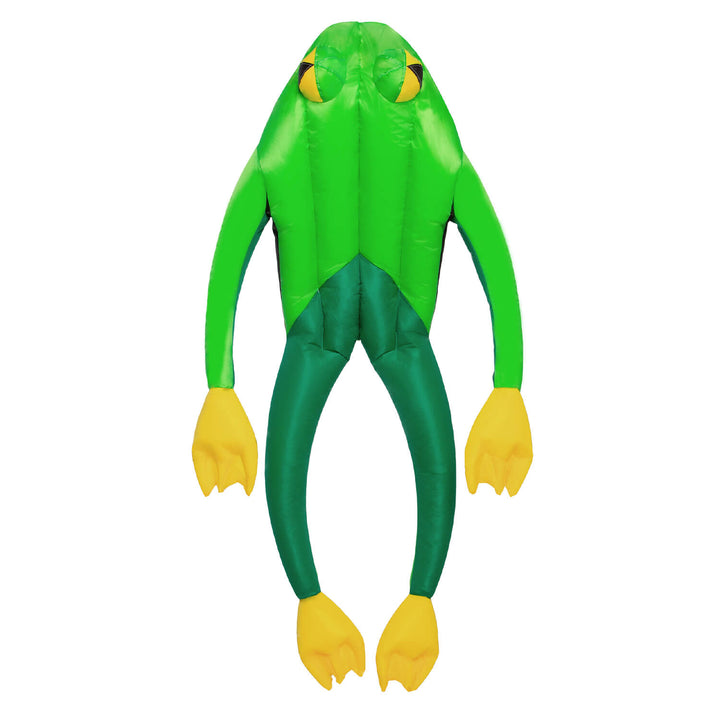 Wolkensturmer Fritz the frog 3d foil kite