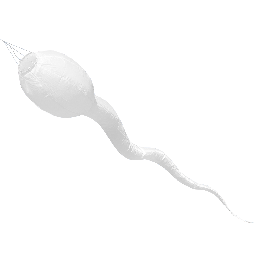 Sperm Tadpole windsock 2.4m white