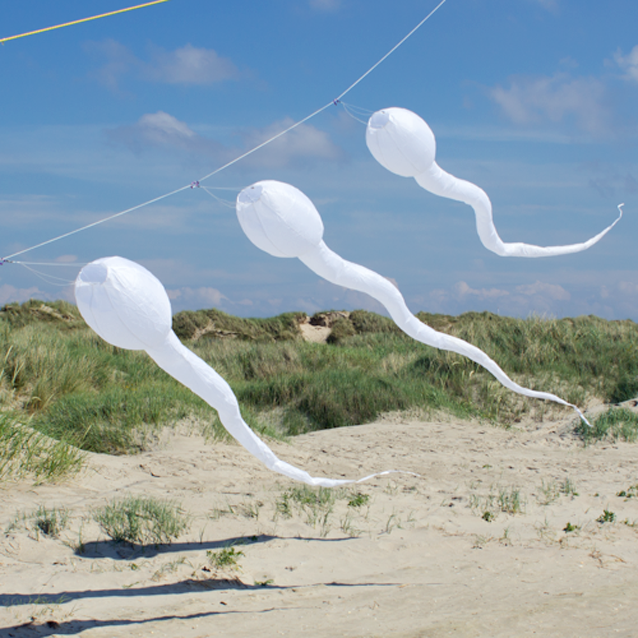 Sperm Tadpole windsock 2.4m white